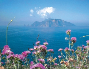 Capri View from Punta Campanella